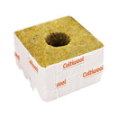 Cultiwool Cubes
