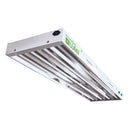 T5 Fluorescent Light (Blue)