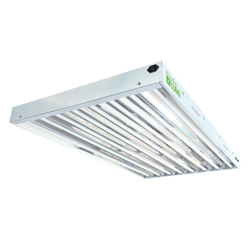 T5 Fluorescent Light (Blue)