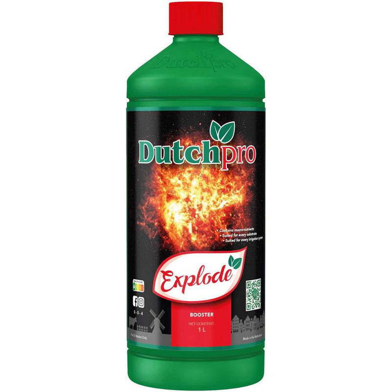 Dutch Pro Explode