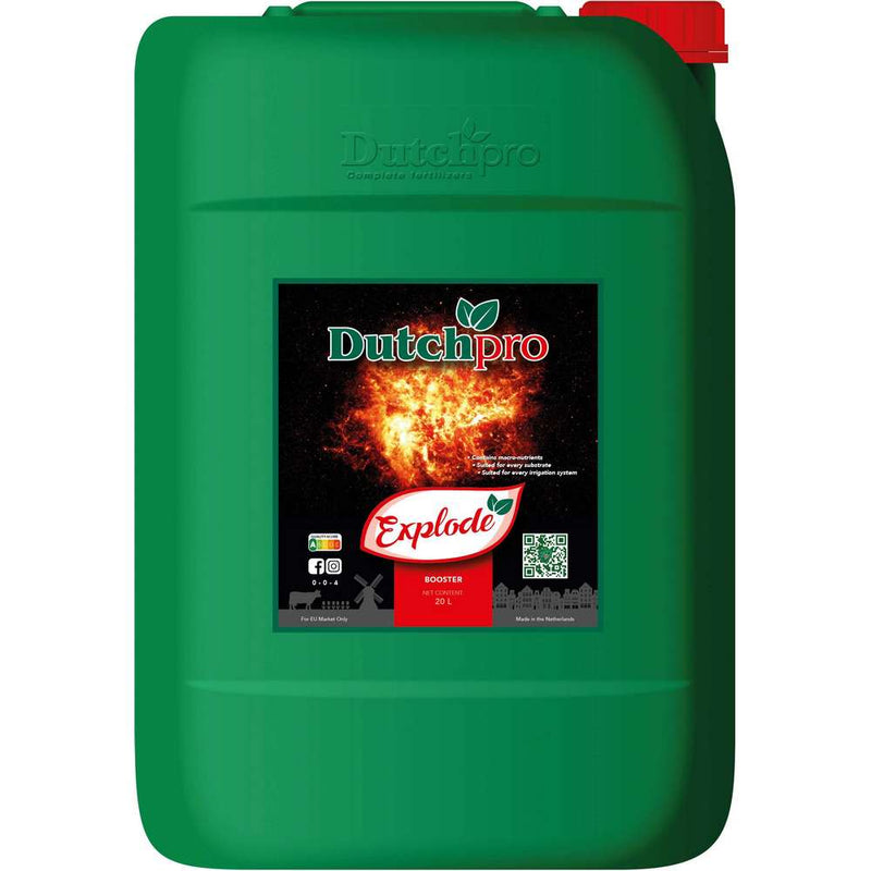 Dutch Pro Explode