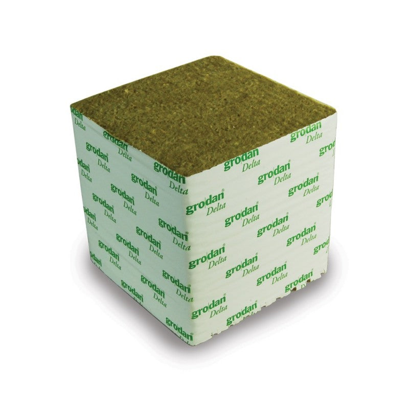 Big Mama Delta cube