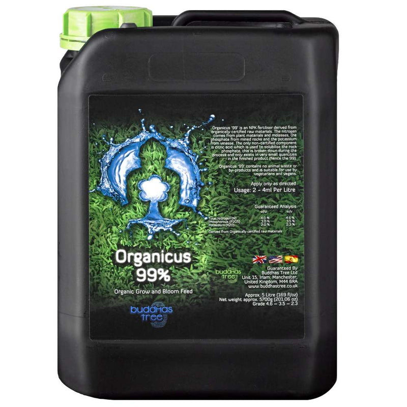 Buddhas Tree Organicus