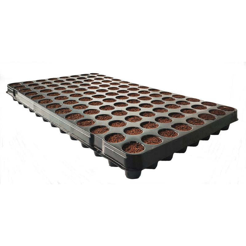 Plug Life Coco 104 Cell Tray