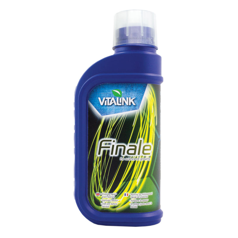 Vitalink Finale