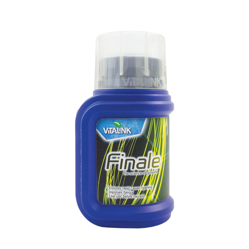 Vitalink Finale