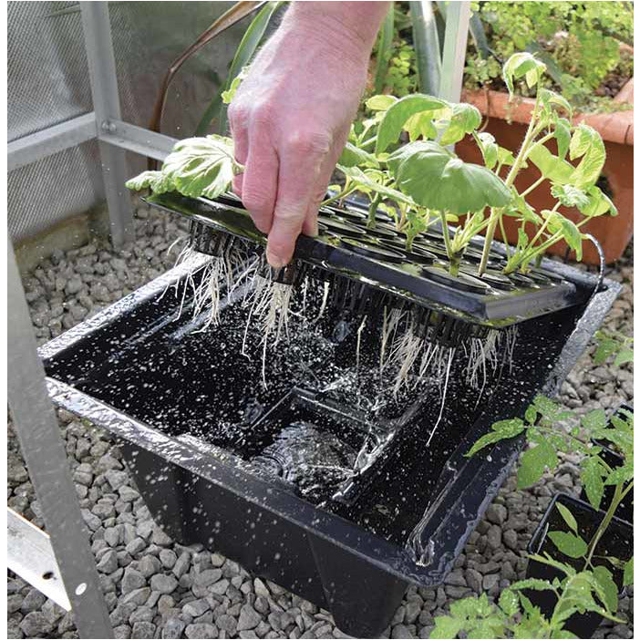 X-Stream Aeroponic Propagator