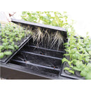 X-Stream Aeroponic Propagator