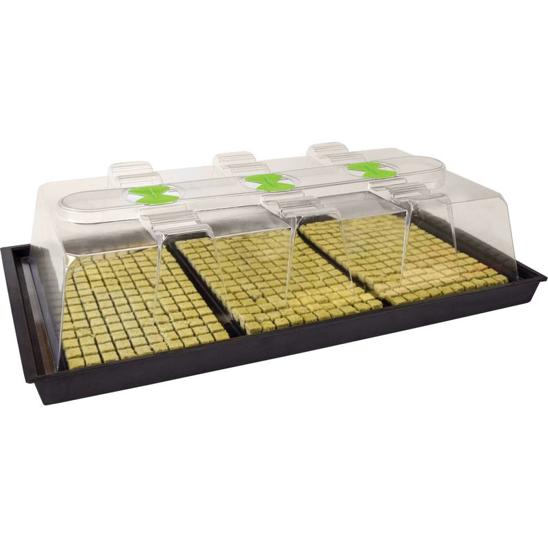 X-Stream Heated Propagator No Thermostat