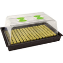 X-Stream Propagator (Unheated)