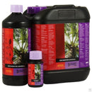 Atami B'Cuzz Coco Booster Universal