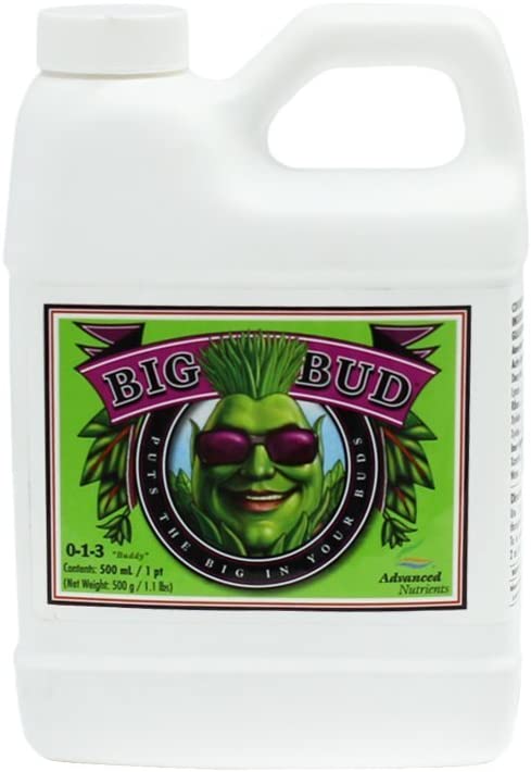 Advanced Big Bud