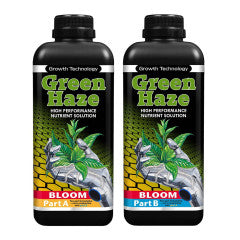 Green Haze Bloom A&B