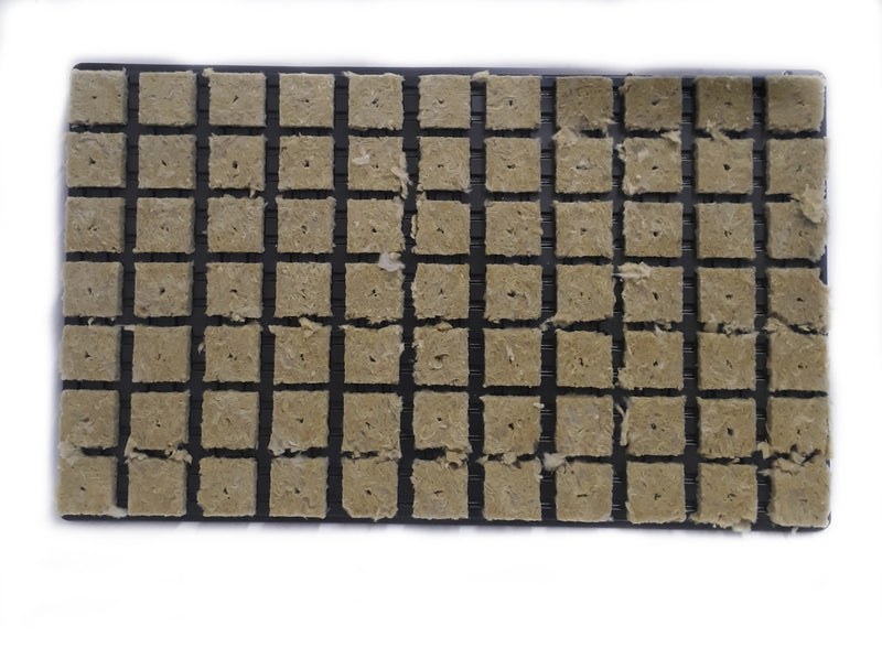 Grodan Rockwool SBS Cubes (3/10 hole)