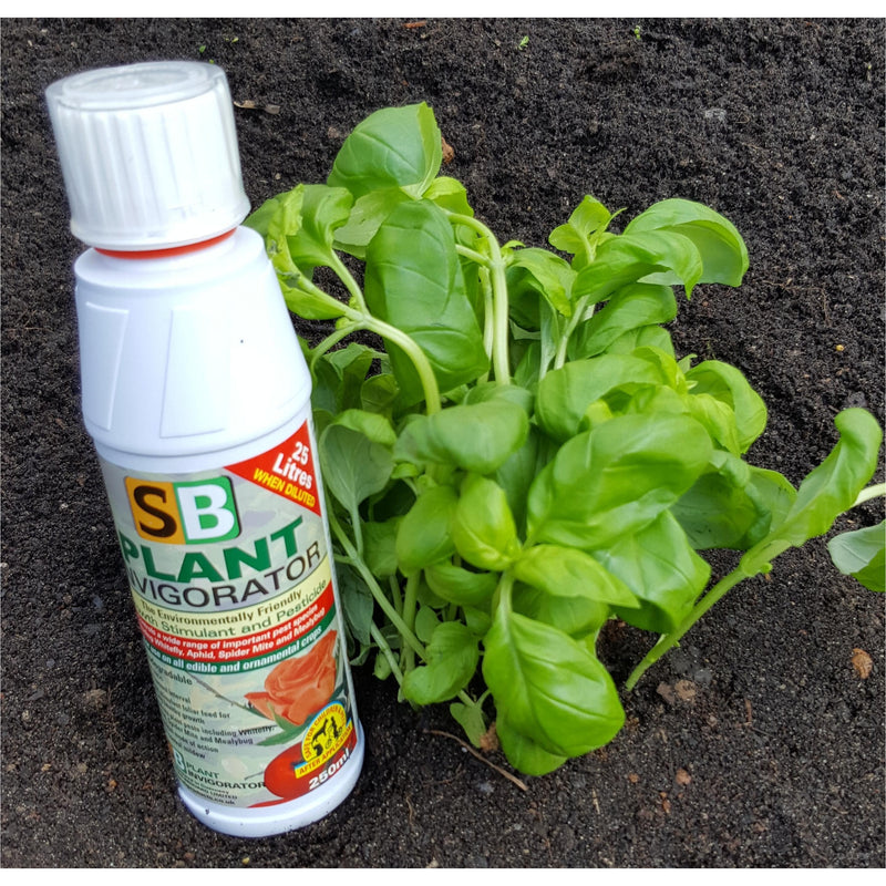 SB Plant Invigorator