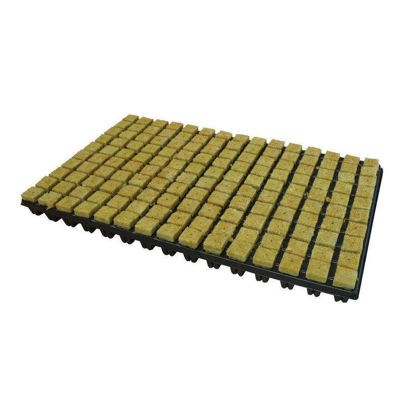 Grodan Rockwool SBS Cubes (3/10 hole)