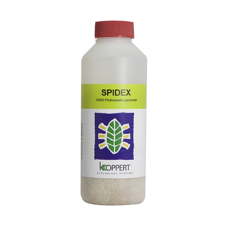Spydex-red Spiders Predators