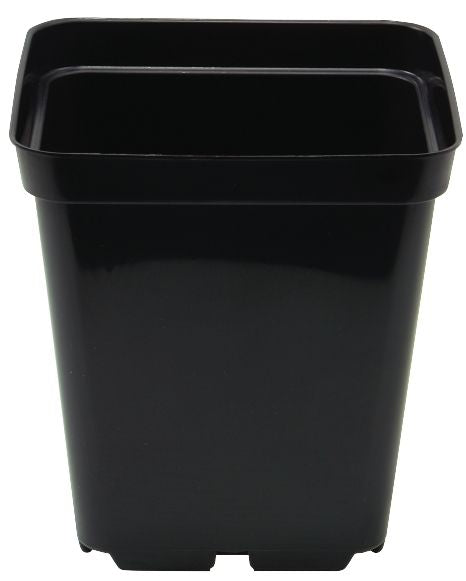 Square Black Plant Pot