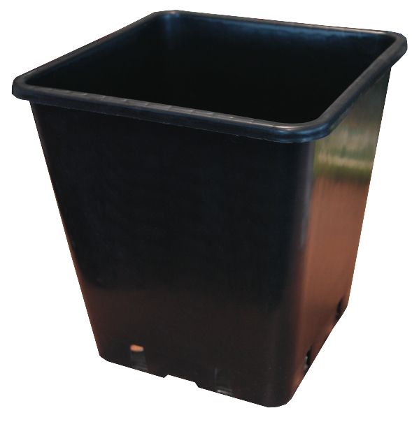 Square Black Plant Pot