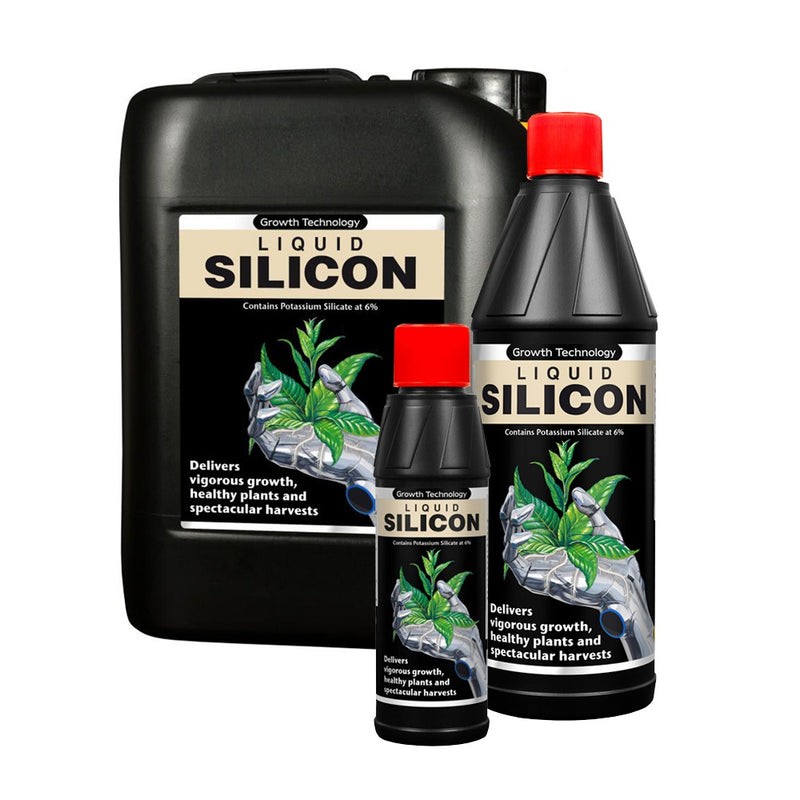 Growth Technology Silicon